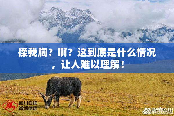 揉我胸？啊？这到底是什么情况，让人难以理解！