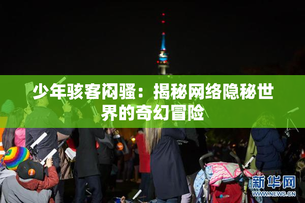 少年骇客闷骚：揭秘网络隐秘世界的奇幻冒险