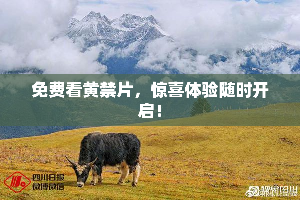 免费看黄禁片，惊喜体验随时开启！