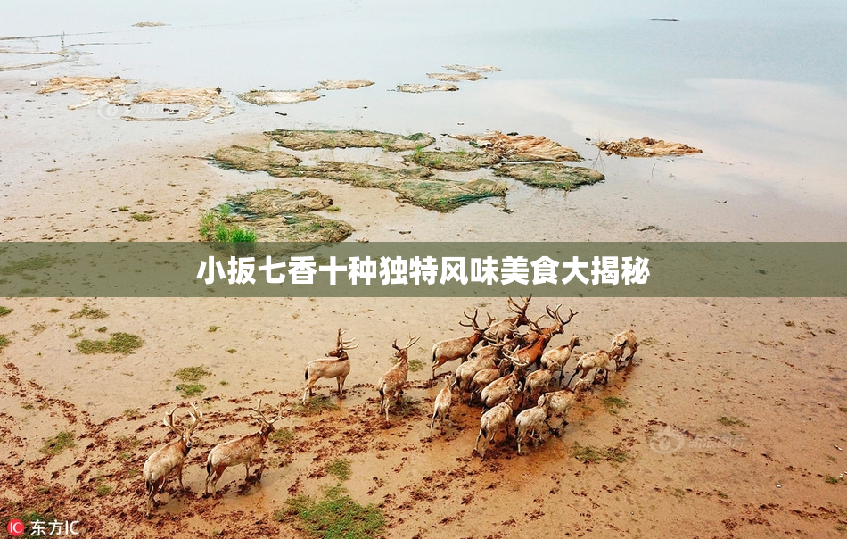 小扳七香十种独特风味美食大揭秘