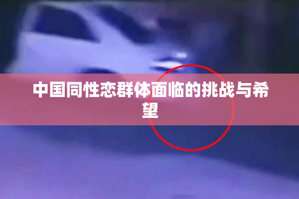 中国同性恋群体面临的挑战与希望