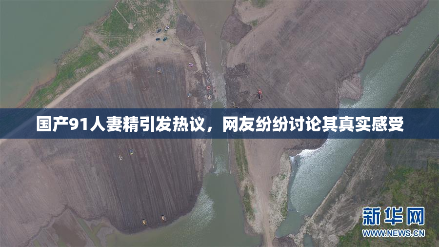 国产91人妻精引发热议，网友纷纷讨论其真实感受