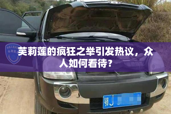 芙莉莲的疯狂之举引发热议，众人如何看待？