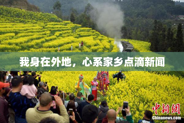 我身在外地，心系家乡点滴新闻