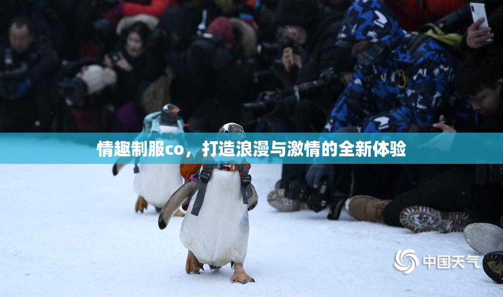情趣制服co，打造浪漫与激情的全新体验