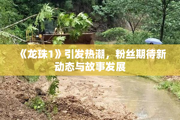 《龙珠1》引发热潮，粉丝期待新动态与故事发展