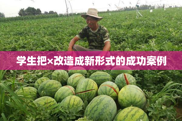 学生把×改造成新形式的成功案例