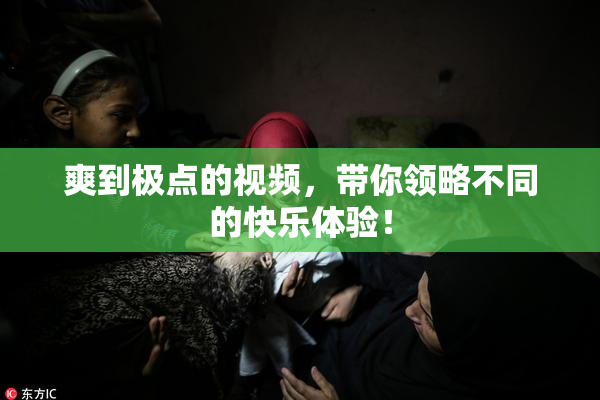 爽到极点的视频，带你领略不同的快乐体验！