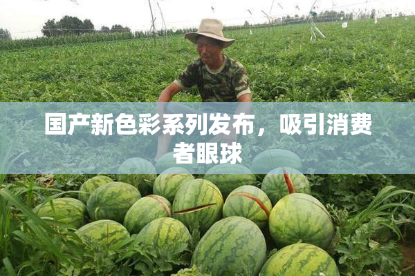 国产新色彩系列发布，吸引消费者眼球