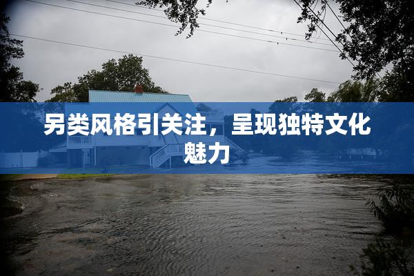 另类风格引关注，呈现独特文化魅力