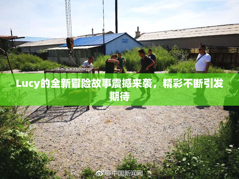 Lucy的全新冒险故事震撼来袭，精彩不断引发期待