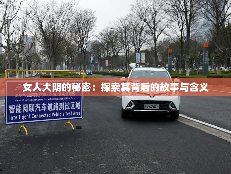 女人大阴的秘密：探索其背后的故事与含义