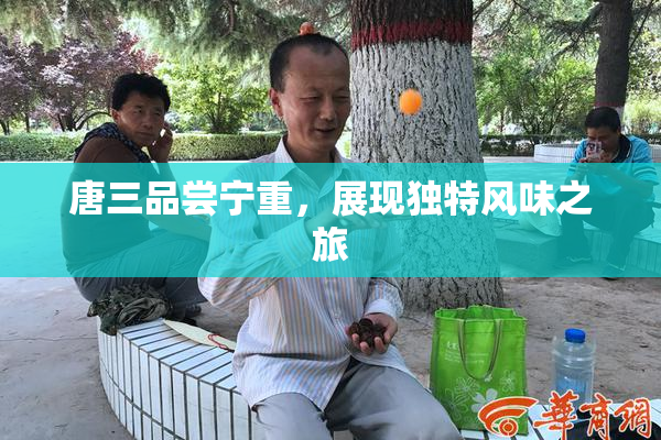 唐三品尝宁重，展现独特风味之旅