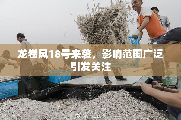 龙卷风18号来袭，影响范围广泛引发关注