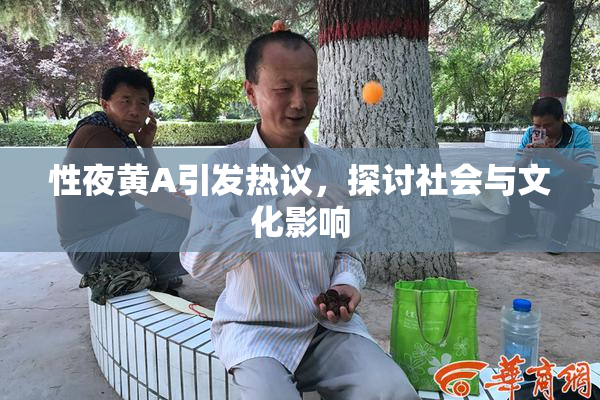 性夜黄A引发热议，探讨社会与文化影响