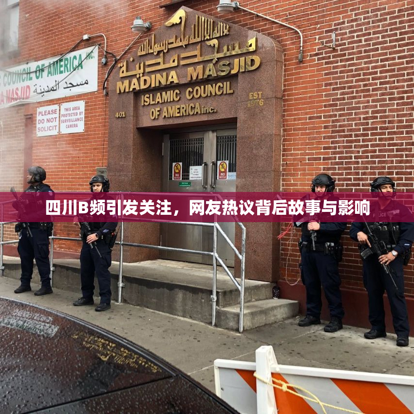 四川B频引发关注，网友热议背后故事与影响