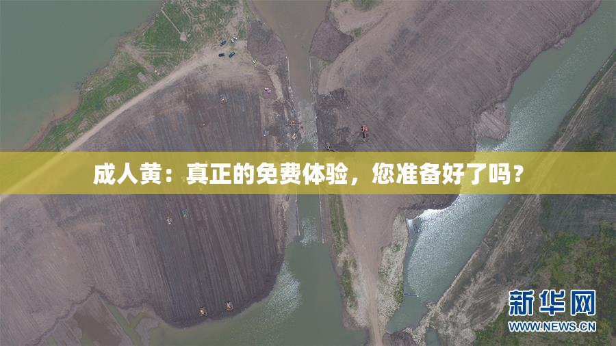 成人黄：真正的免费体验，您准备好了吗？
