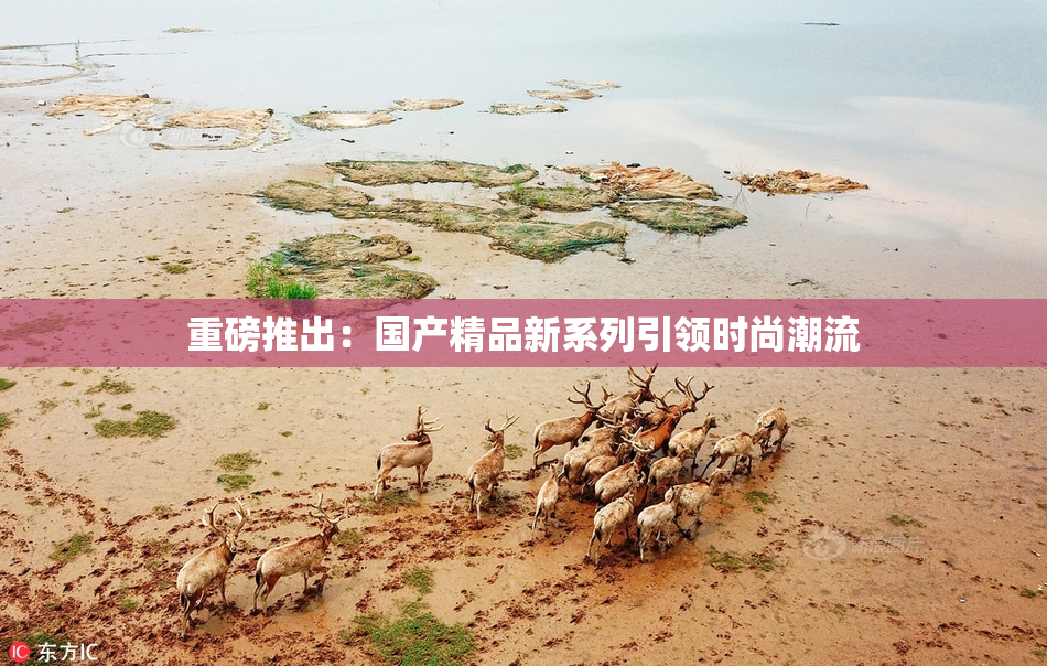 重磅推出：国产精品新系列引领时尚潮流
