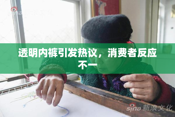 透明内裤引发热议，消费者反应不一