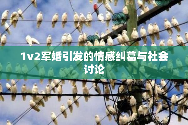 1v2军婚引发的情感纠葛与社会讨论