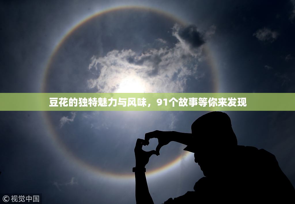 豆花的独特魅力与风味，91个故事等你来发现
