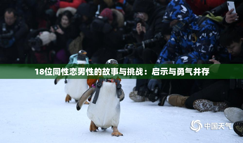 18位同性恋男性的故事与挑战：启示与勇气并存