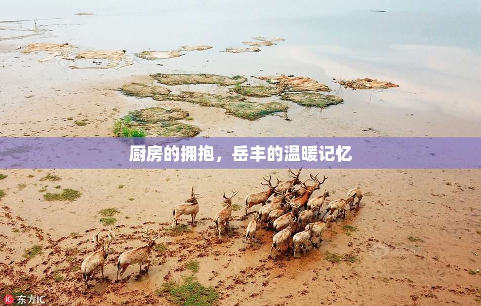 厨房的拥抱，岳丰的温暖记忆