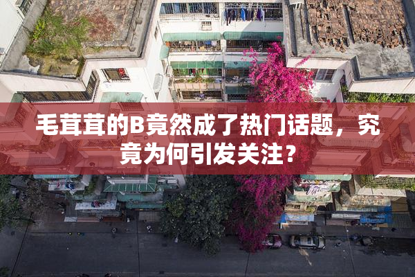 毛茸茸的B竟然成了热门话题，究竟为何引发关注？
