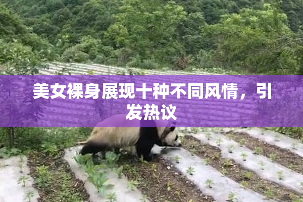 美女裸身展现十种不同风情，引发热议
