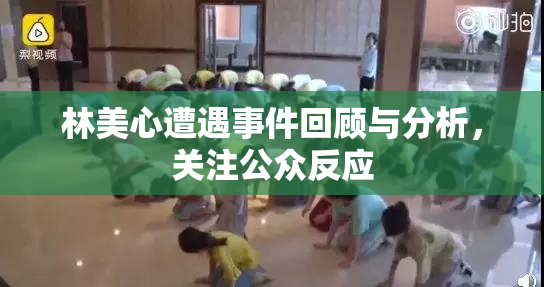 林美心遭遇事件回顾与分析，关注公众反应