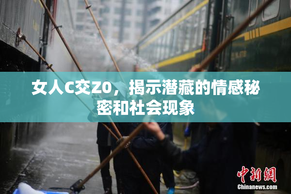 女人C交Z0，揭示潜藏的情感秘密和社会现象