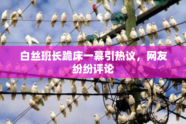 白丝班长跪床一幕引热议，网友纷纷评论