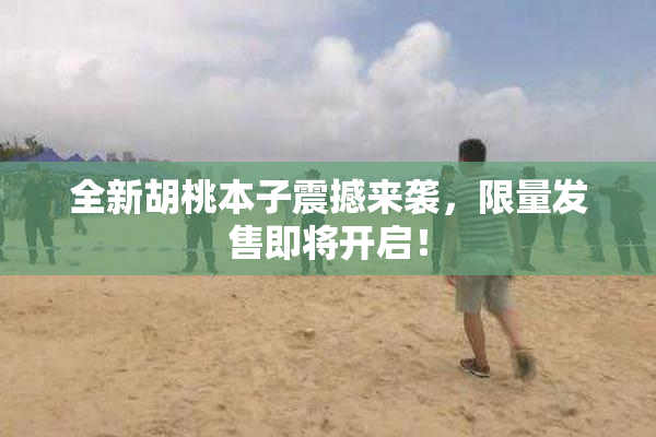 全新胡桃本子震撼来袭，限量发售即将开启！
