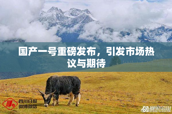 国产一号重磅发布，引发市场热议与期待