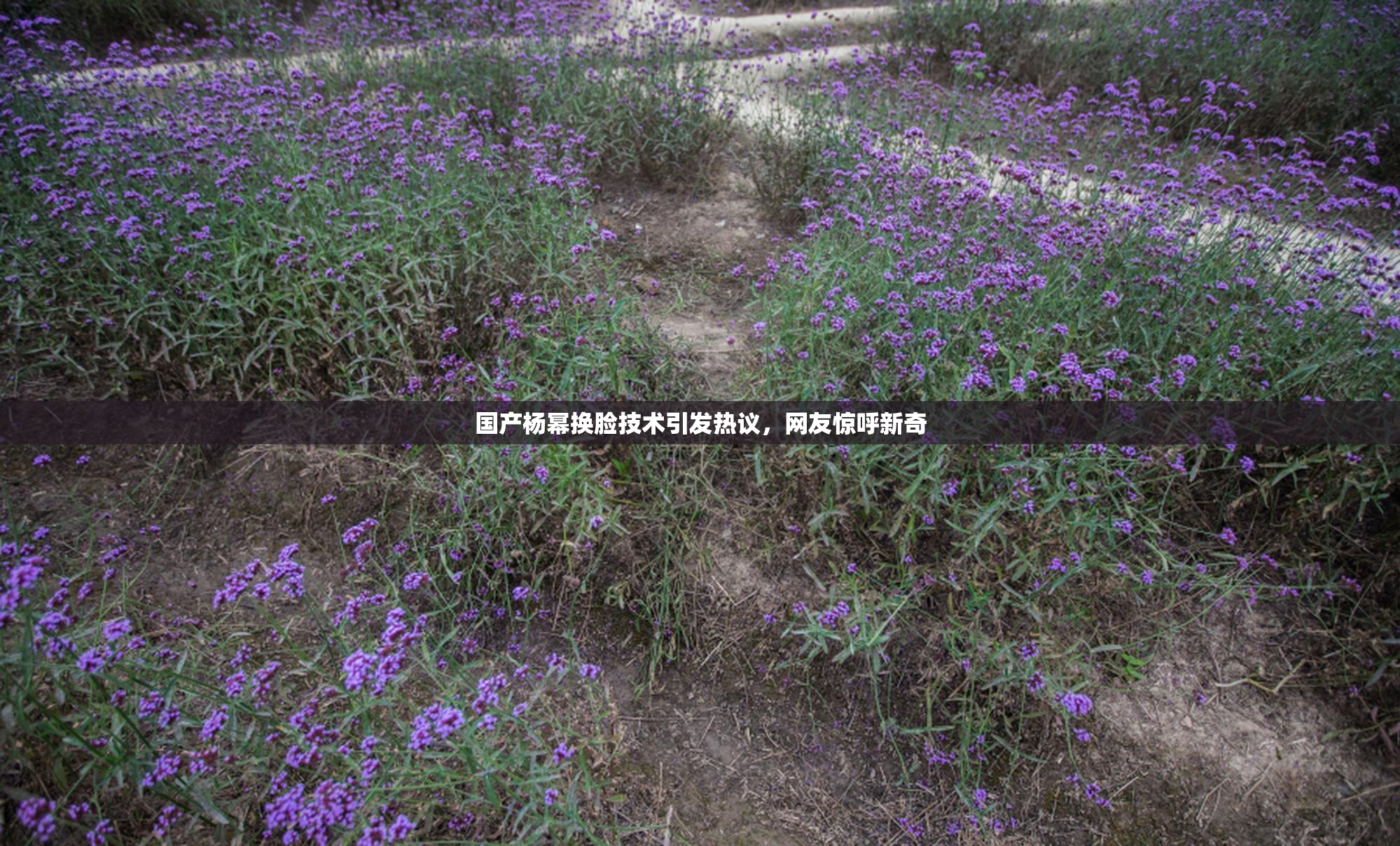 国产杨幂换脸技术引发热议，网友惊呼新奇