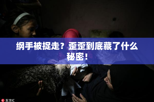 纲手被捉走？歪歪到底藏了什么秘密！