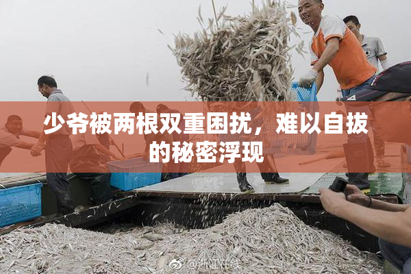 少爷被两根双重困扰，难以自拔的秘密浮现