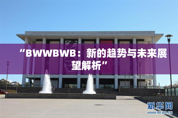 “BWWBWB：新的趋势与未来展望解析”