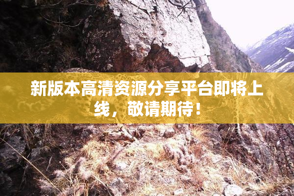 新版本高清资源分享平台即将上线，敬请期待！