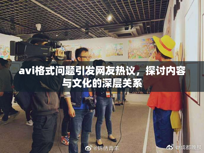 avi格式问题引发网友热议，探讨内容与文化的深层关系