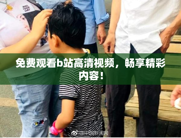 免费观看b站高清视频，畅享精彩内容！