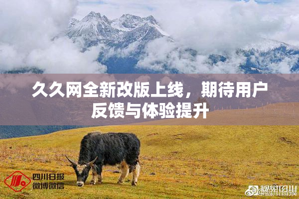 久久网全新改版上线，期待用户反馈与体验提升
