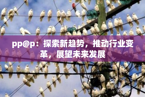 pp@p：探索新趋势，推动行业变革，展望未来发展