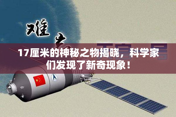 17厘米的神秘之物揭晓，科学家们发现了新奇现象！