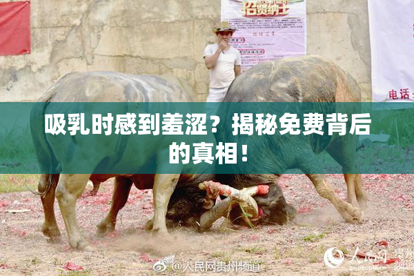吸乳时感到羞涩？揭秘免费背后的真相！