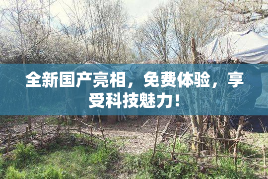 全新国产亮相，免费体验，享受科技魅力！