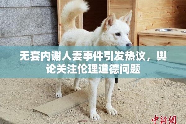 无套内谢人妻事件引发热议，舆论关注伦理道德问题