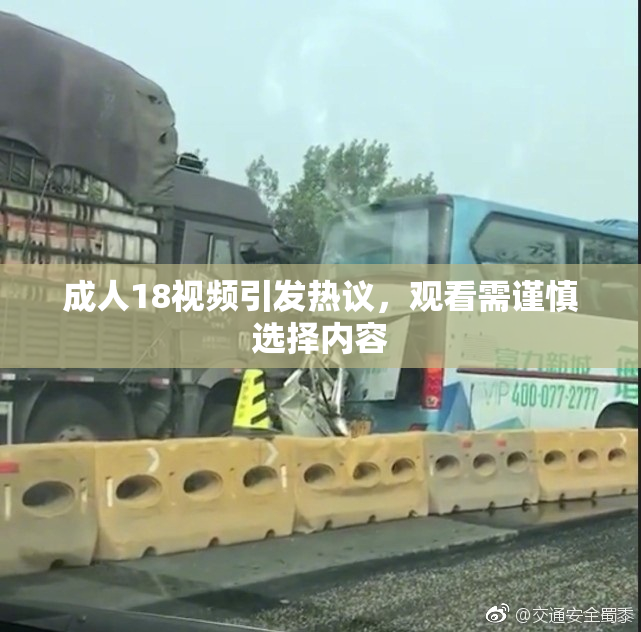 成人18视频引发热议，观看需谨慎选择内容
