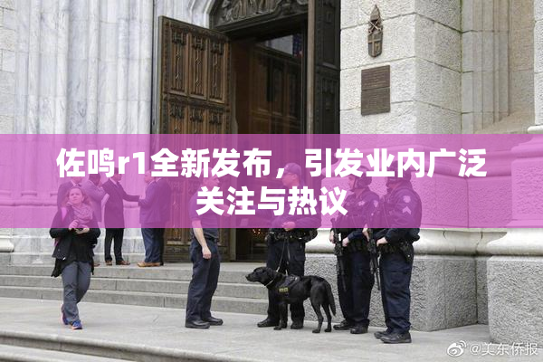 佐鸣r1全新发布，引发业内广泛关注与热议