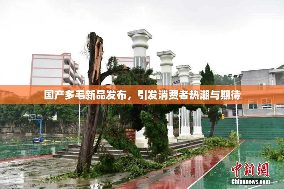 国产多毛新品发布，引发消费者热潮与期待